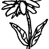 (2008-05) Grafiken Christa Jahr für Rosi Lampe - Blume 1
