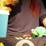 (2011-16) Steffi Lampe - Geburtstag der kleinen Schildkröte 040